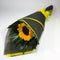 Single Sunflower with Black Wrap