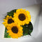 Three bright sunflowers for a Wellington birthday