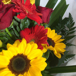 bright sunflowers from Porirua