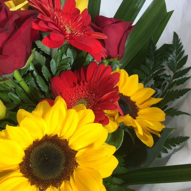 bright sunflowers from Porirua