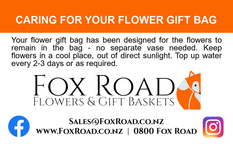 Instructions for caring for a Wellington flower gift bag.