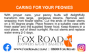 Instructions for caring for peonies with Fox Road Flowers & Gift Baskets branding.