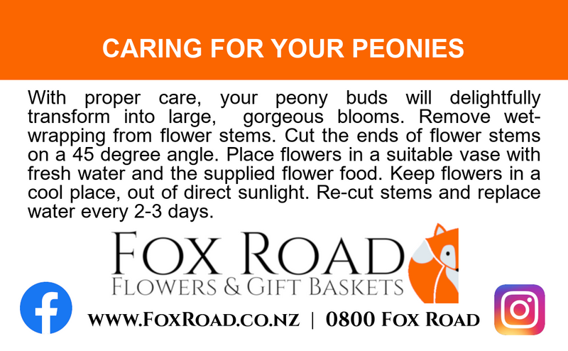 Instructions for caring for peonies with Fox Road Flowers & Gift Baskets branding.