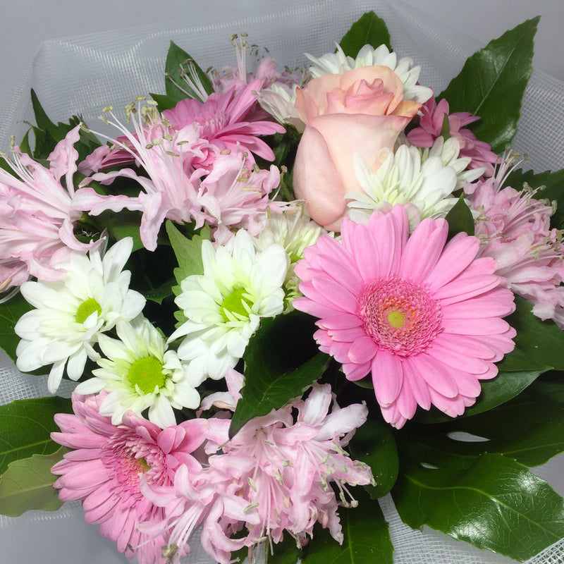 Porirua florist shows off roses and pink flowers