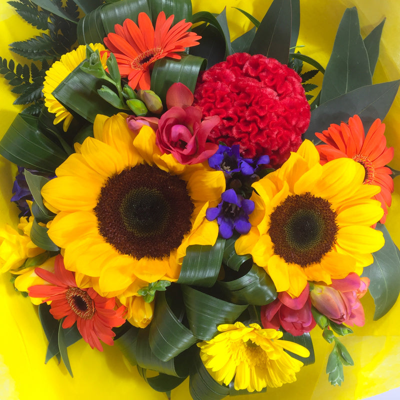 Close up of Porirua Sunflowers
