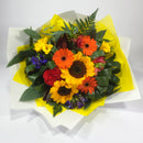 Sunflowers, Gerberas and Celosia Flowers from Wellington