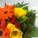 Close up of vibrant Gerbera Flowers