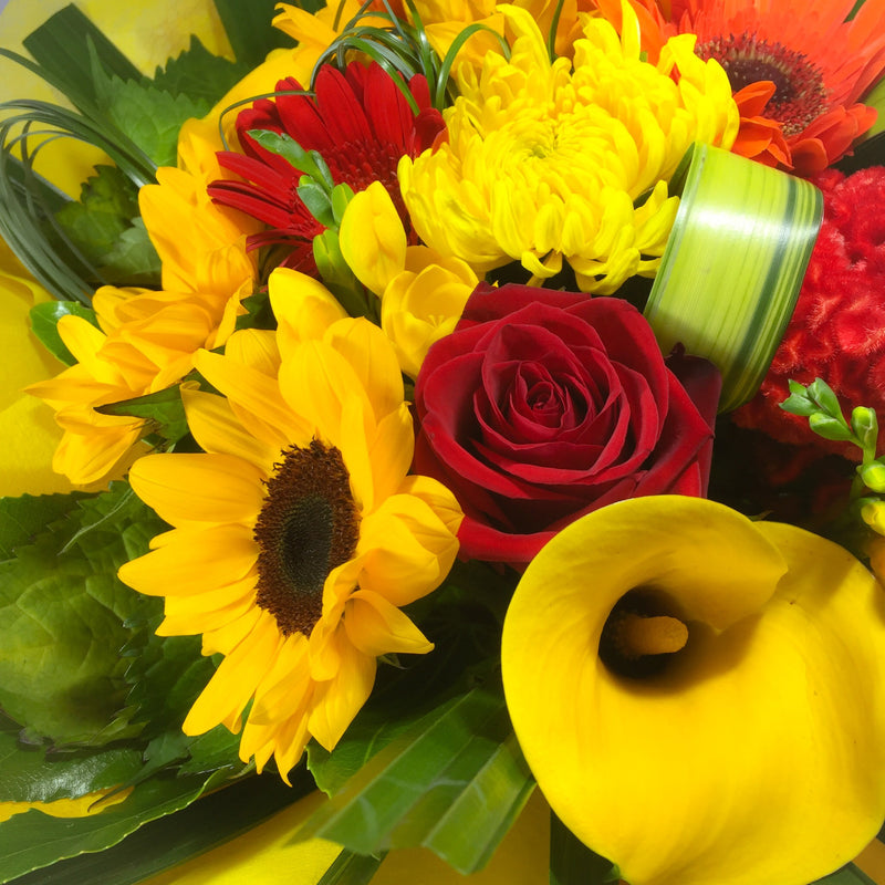 Close up of bright Porirua flowers