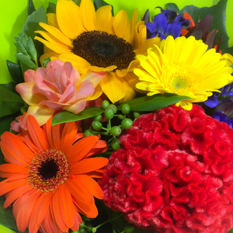 Bright sunflower for porirua delivery