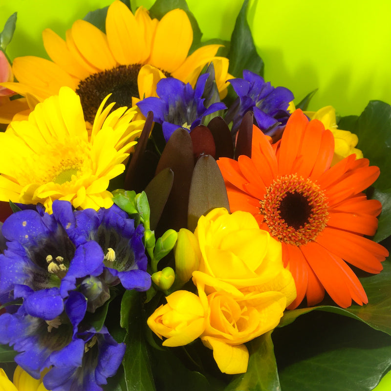 Gerberas for Valentine's Day in Lower Hutt and Porirua