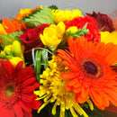 Close up of Red, Orange and Yellow Flowers