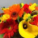 Zoomed in Callas and Gerberas Flowers