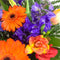 Gerbera, Delphinium and other birthday flowers