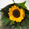 Single Bright Sunflower