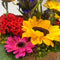 Wooden Flower box with Yellow, Orange and Red Flowers