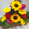 Bright Wellington flowers inside Wooden Box