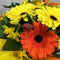 Close up of bright birthday flowers