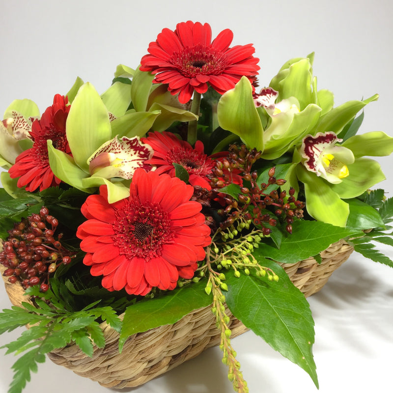 Wellington florist picking red and white gerberas
