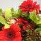 Porirua florist holding red gerberas