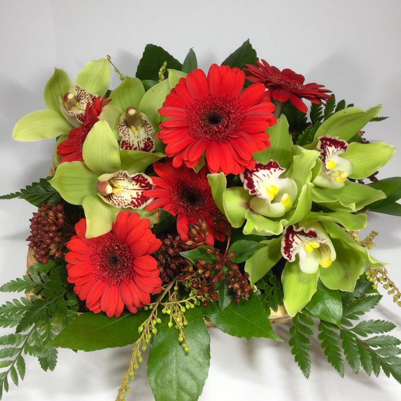 Orchids and viburnum berries from Porirua flowers