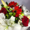 Christmas gerberas delivered to Upper Hutt