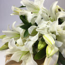 Ten lily stems in a casket spray