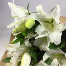 Lily stems arranged for same day delivery