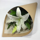 Single lily stem presented in cardboard sleeve