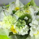 Close up of white flowers in gift bag