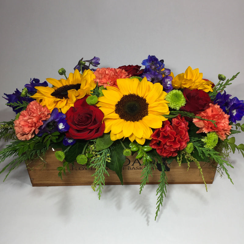 bright sunflowers in Porirua wooden crate