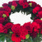 ANZAC Day wreath with red and green flowers